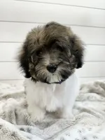 processed/e2863601-c141-4856-ac7e-c64bcab0c9ce/facility/5d364686-25bf-4f44-a829-d76fbec9d52a