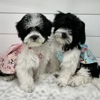 processed/e2863601-c141-4856-ac7e-c64bcab0c9ce/facility/751621c6-669a-4083-8f60-2657f55c79f5