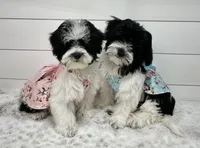 processed/e2863601-c141-4856-ac7e-c64bcab0c9ce/facility/751621c6-669a-4083-8f60-2657f55c79f5