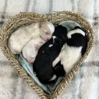 processed/e2863601-c141-4856-ac7e-c64bcab0c9ce/facility/b13c9a0a-8d17-4377-855d-a54f6c79e3c3