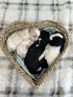 processed/e2863601-c141-4856-ac7e-c64bcab0c9ce/facility/b13c9a0a-8d17-4377-855d-a54f6c79e3c3