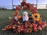 processed/e2863601-c141-4856-ac7e-c64bcab0c9ce/facility/bff06789-d212-43cf-aa70-ce98a0fbf3e7