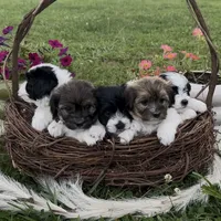 processed/e2863601-c141-4856-ac7e-c64bcab0c9ce/facility/e558cd05-4203-4b49-a41d-5b9497d55c8e