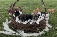 processed/e2863601-c141-4856-ac7e-c64bcab0c9ce/facility/e558cd05-4203-4b49-a41d-5b9497d55c8e