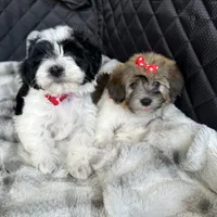 processed/e2863601-c141-4856-ac7e-c64bcab0c9ce/facility/f233b078-0037-4e09-9d94-2a389de8fa02