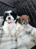 processed/e2863601-c141-4856-ac7e-c64bcab0c9ce/facility/f233b078-0037-4e09-9d94-2a389de8fa02