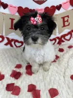 processed/e2863601-c141-4856-ac7e-c64bcab0c9ce/listing/13366f86-a208-48f8-87f2-5bcc300a199f/8fce7489-9203-4106-a6d9-621435c4da2f