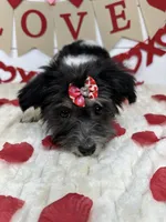 processed/e2863601-c141-4856-ac7e-c64bcab0c9ce/listing/13366f86-a208-48f8-87f2-5bcc300a199f/8fff5583-5a8c-4420-9cd4-2dc05ad4864d