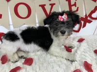 processed/e2863601-c141-4856-ac7e-c64bcab0c9ce/listing/13366f86-a208-48f8-87f2-5bcc300a199f/ae3fb9d7-817c-4d40-8231-5c11a8fac691