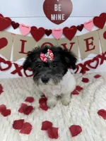 processed/e2863601-c141-4856-ac7e-c64bcab0c9ce/listing/13366f86-a208-48f8-87f2-5bcc300a199f/bdf3f749-e753-45d2-93a1-c7c672463e28