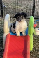 processed/e2863601-c141-4856-ac7e-c64bcab0c9ce/listing/13366f86-a208-48f8-87f2-5bcc300a199f/ca05abf6-c038-4811-b9c3-d412386f2c43