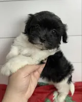 processed/e2863601-c141-4856-ac7e-c64bcab0c9ce/listing/4d289593-5cf9-470c-91b7-bbbdffe4cce5/17d4c661-503c-4699-aea2-ce2c656b6c62