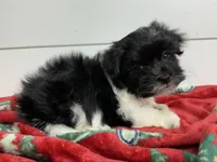 processed/e2863601-c141-4856-ac7e-c64bcab0c9ce/listing/4d289593-5cf9-470c-91b7-bbbdffe4cce5/c3e49723-dc5b-4c40-aa5a-4ceca56e9805