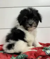 processed/e2863601-c141-4856-ac7e-c64bcab0c9ce/listing/4d289593-5cf9-470c-91b7-bbbdffe4cce5/c6865282-eed9-408a-9918-86cceeb484c1