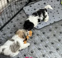 processed/e2863601-c141-4856-ac7e-c64bcab0c9ce/listing/69e7b60f-f5da-438f-90d6-75b43240a82e/84cf3c38-b2c2-4fbb-aa72-5a9f326a2593