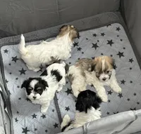 processed/e2863601-c141-4856-ac7e-c64bcab0c9ce/listing/69e7b60f-f5da-438f-90d6-75b43240a82e/c9d4d4fc-ef73-4977-9282-ad6c698ece48