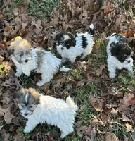 processed/e2863601-c141-4856-ac7e-c64bcab0c9ce/listing/69e7b60f-f5da-438f-90d6-75b43240a82e/e0dc2785-cb04-47ee-a4f7-be597d97314a