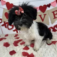 processed/e2863601-c141-4856-ac7e-c64bcab0c9ce/listing/84e7f7aa-b133-4696-ae4e-263c5cb930d2/0b555224-4272-4007-b965-dbe99ef60473