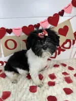 processed/e2863601-c141-4856-ac7e-c64bcab0c9ce/listing/84e7f7aa-b133-4696-ae4e-263c5cb930d2/95296466-2a09-4468-9088-be5141afd6f1