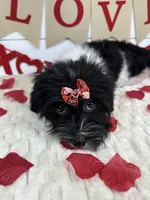 processed/e2863601-c141-4856-ac7e-c64bcab0c9ce/listing/84e7f7aa-b133-4696-ae4e-263c5cb930d2/bee49d0c-462a-4df5-a4dc-1bf71da38775