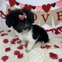 processed/e2863601-c141-4856-ac7e-c64bcab0c9ce/listing/84e7f7aa-b133-4696-ae4e-263c5cb930d2/cfb72db2-1601-480f-986b-838c73bd2a54