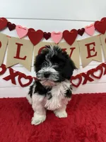 processed/e2863601-c141-4856-ac7e-c64bcab0c9ce/listing/9400b919-1681-495c-a09a-646e67fbf12b/8733486f-153e-4252-a3e6-3a5fe79ddb56