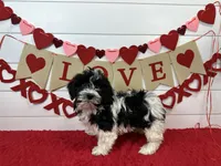 processed/e2863601-c141-4856-ac7e-c64bcab0c9ce/listing/9400b919-1681-495c-a09a-646e67fbf12b/8f977168-31a6-4603-a69f-fc455fac60f9