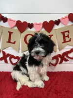 processed/e2863601-c141-4856-ac7e-c64bcab0c9ce/listing/9400b919-1681-495c-a09a-646e67fbf12b/9b4b72b5-24bb-4472-8ec9-688d83bdf189