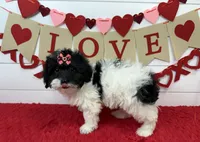 processed/e2863601-c141-4856-ac7e-c64bcab0c9ce/listing/eff4d8af-00f5-4f6c-8540-d7977b09f880/18e7b9fe-233c-4719-9652-c7f5cb4ee63d