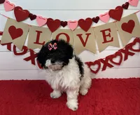 processed/e2863601-c141-4856-ac7e-c64bcab0c9ce/listing/eff4d8af-00f5-4f6c-8540-d7977b09f880/30edfbab-7493-4862-a77e-e13e9fb6eb4d