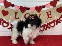 processed/e2863601-c141-4856-ac7e-c64bcab0c9ce/listing/eff4d8af-00f5-4f6c-8540-d7977b09f880/7b2cf319-2bdc-4411-8450-cd01886f4adf