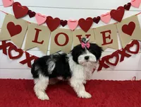 processed/e2863601-c141-4856-ac7e-c64bcab0c9ce/listing/ff6532d9-e114-409f-b755-1cdfd4038f56/a895ebb5-71b5-4a78-bbf0-caf836aafa82