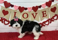 processed/e2863601-c141-4856-ac7e-c64bcab0c9ce/listing/ff6532d9-e114-409f-b755-1cdfd4038f56/aeac32e8-2179-40f5-9921-a58b64b4e524