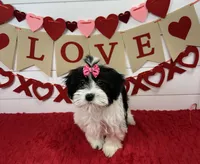 processed/e2863601-c141-4856-ac7e-c64bcab0c9ce/listing/ff6532d9-e114-409f-b755-1cdfd4038f56/eb6ed2d9-9990-4127-bfa7-0c9f602bd87d