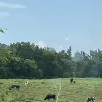 processed/e28aefb7-5e83-42e4-81d5-91ea17903b27/facility/2c5e3c08-ca55-483f-a1e0-6d3800d7dd21