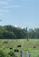 processed/e28aefb7-5e83-42e4-81d5-91ea17903b27/facility/2c5e3c08-ca55-483f-a1e0-6d3800d7dd21