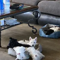 processed/e28aefb7-5e83-42e4-81d5-91ea17903b27/facility/32ea4f58-cb8d-42b2-b36b-a8e951823b20