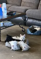 processed/e28aefb7-5e83-42e4-81d5-91ea17903b27/facility/32ea4f58-cb8d-42b2-b36b-a8e951823b20