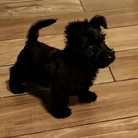 processed/e28aefb7-5e83-42e4-81d5-91ea17903b27/facility/3dfe74d2-eeb6-4f35-9ab0-1ce047905f88