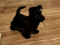 processed/e28aefb7-5e83-42e4-81d5-91ea17903b27/facility/3dfe74d2-eeb6-4f35-9ab0-1ce047905f88