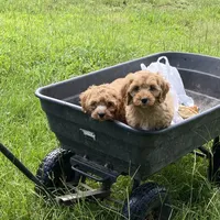 processed/e28aefb7-5e83-42e4-81d5-91ea17903b27/facility/8612295f-e786-448e-bf16-e819555e67e0