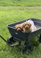 processed/e28aefb7-5e83-42e4-81d5-91ea17903b27/facility/8612295f-e786-448e-bf16-e819555e67e0