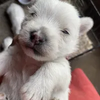 processed/e28aefb7-5e83-42e4-81d5-91ea17903b27/facility/89ceee60-4a4a-418f-822f-60b069911b85