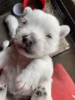 processed/e28aefb7-5e83-42e4-81d5-91ea17903b27/facility/89ceee60-4a4a-418f-822f-60b069911b85