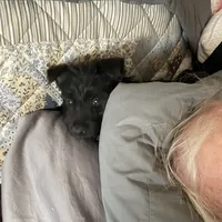 processed/e28aefb7-5e83-42e4-81d5-91ea17903b27/facility/a8da242c-db0b-4d82-9356-07adc1ed658d