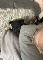 processed/e28aefb7-5e83-42e4-81d5-91ea17903b27/facility/a8da242c-db0b-4d82-9356-07adc1ed658d