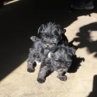 processed/e28aefb7-5e83-42e4-81d5-91ea17903b27/facility/db989ce5-824e-4782-9ceb-b37de598420e