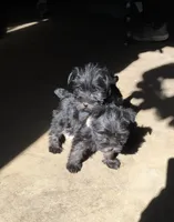 processed/e28aefb7-5e83-42e4-81d5-91ea17903b27/facility/db989ce5-824e-4782-9ceb-b37de598420e