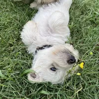 processed/e28aefb7-5e83-42e4-81d5-91ea17903b27/facility/eb01b6bd-64a3-4454-a263-6f42e1eb006d