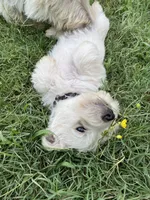 processed/e28aefb7-5e83-42e4-81d5-91ea17903b27/facility/eb01b6bd-64a3-4454-a263-6f42e1eb006d